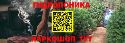 прущие грибы Белорецк