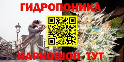 ешки Боровичи