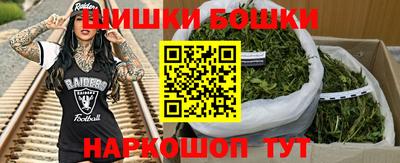 ешки Боровичи