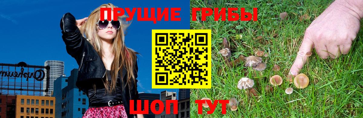 Галлюциногенные грибы прущие грибы Гуково
